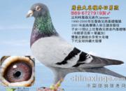 ÿ��һ�룺�������ָ롰�����к���(ͼ)