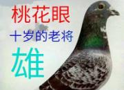 �ҵ��������ƽ���� �����λ