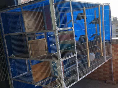 ����400ԪС���� �깤��