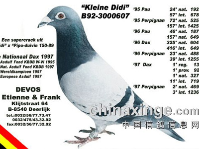 ÿһ룺뺷Сϵϡ(ͼ)