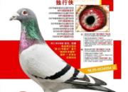 ÿ��һ�룺��������ھ�����������(ͼ)