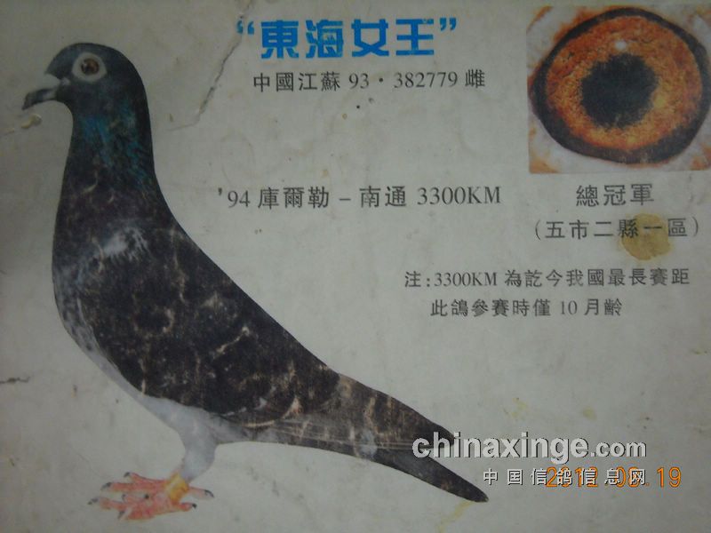 ÿ��һ�룺����������֮�����Ů����