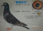 ÿ��һ�룺����������֮�����Ů����
