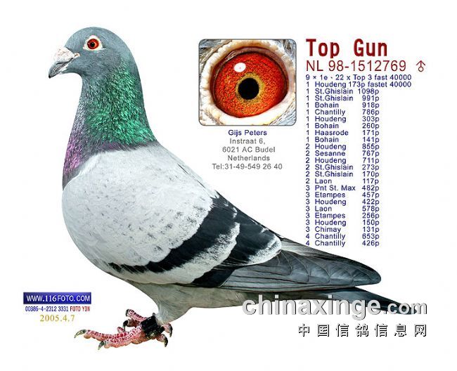 ÿ��һ�룺����������١�������(ͼ)