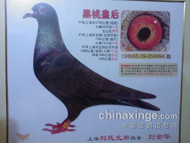 ÿ��һ�룺70�����ɳ�Զ��֮�����һʺ�