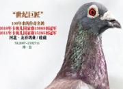 ÿ��һ�룺����������ھ������;޽���