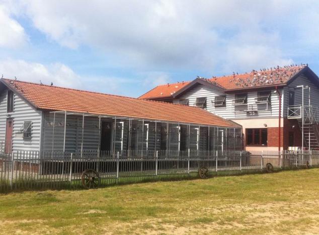 ŷ�޹ھ���������