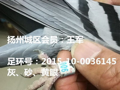 ʱ27죡2000ﳬԶ̵鳲 