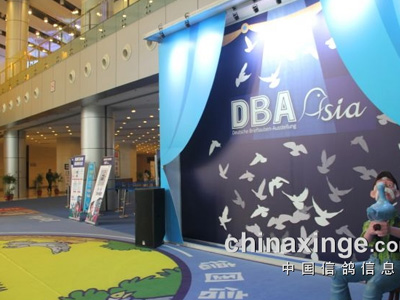 零距离DBA西安鸽展（图）
