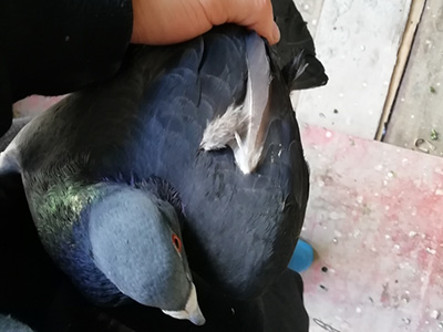 ��������������