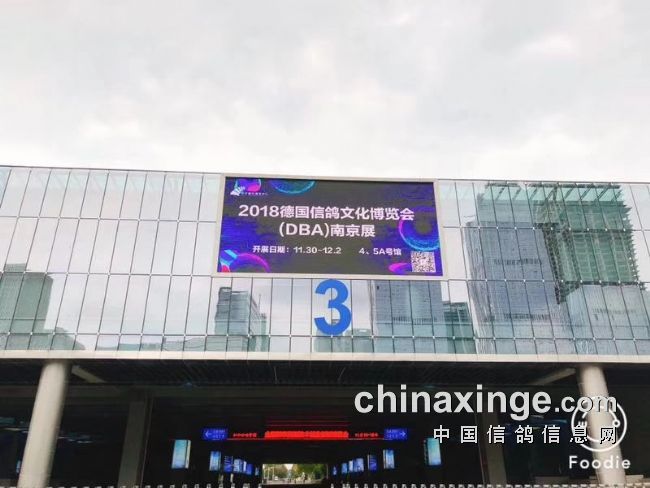 12月1日-2日：看好戏 逛鸽展 南京更精彩！