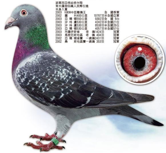 ÿ��һ�룺Ů���������֮���쳵С�㡱(ͼ)