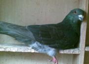 ������ɳʼ���𡪡����ݸ���׸��ر����ؼ�ʵ