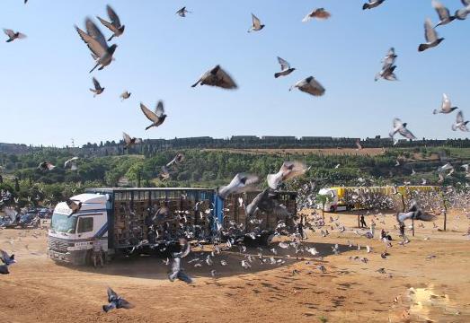 ÿ��һ�룺�ع˰������ǹھ��뺷��(ͼ)