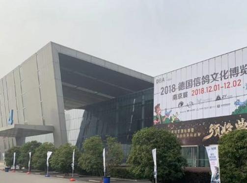 南京鸽展 就是要让你嗨到爆！