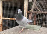 ˮ����Ӵ�ս���� ����2152�����33��