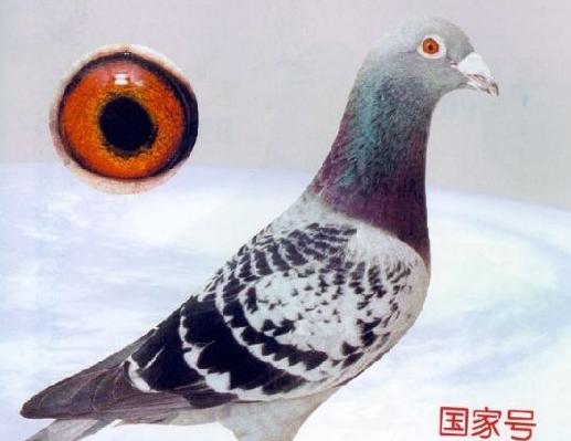 ÿ��һ�룺��ɭ���ļ�����Һ�(ͼ)