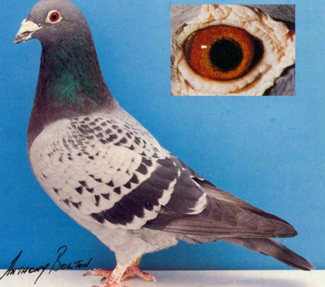 ÿ��һ�룺һ��8�ιھ�����73(ͼ)