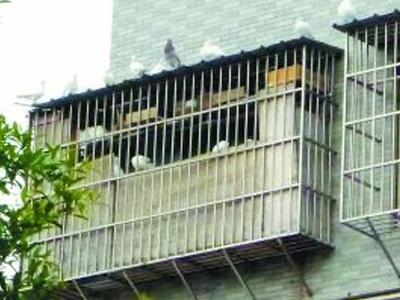 17¥������ھ�Ӱ����