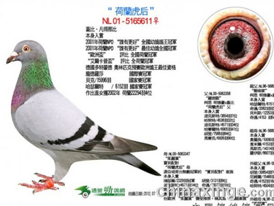 ÿһ룺WHZBȫ׸롰(ͼ)