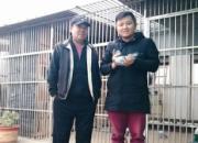˼��ж��ٴ����֡�����������ִϣ�ͼ��