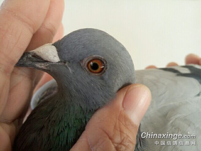 ��������������