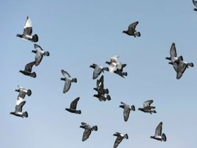 ����Ϊʲô�ɲ���