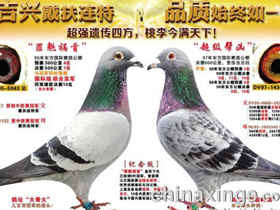 ÿ��һ�룺�Ӵ�����9���ھ����������ס�