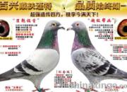 ÿ��һ�룺�Ӵ�����9���ھ����������ס�