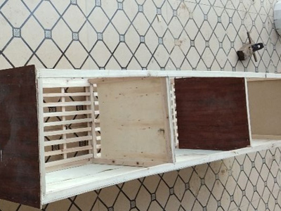 ������· ���Ƹ��