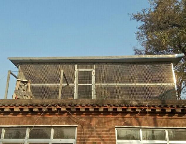 �������½��ĸ��� ��ô����