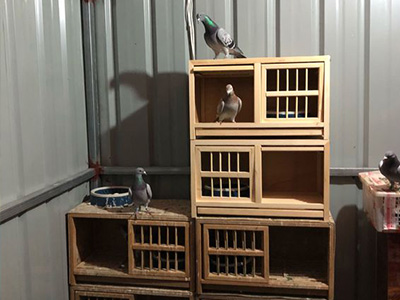 �ҵĸ���ҵĸ�