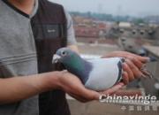 �ٿƳ�֪ʶ�����ֿ��� ����˲���֪�û�