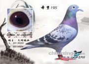 �ղأ���ʮ�Ÿ������벡֪ʶ