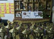 ��ϲŮ���ѣ���ҹ������ �ط����رȹھ�