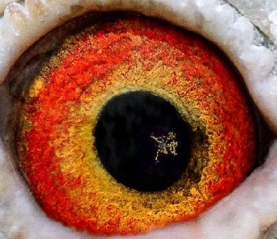 ���۴���һ�ֲ�̬��ͬ����İ�����