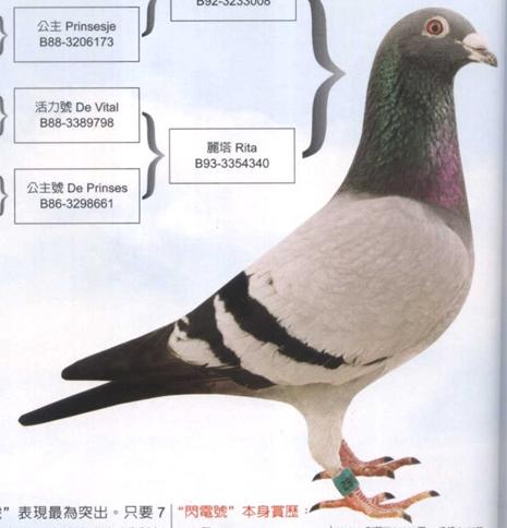 ÿ��һ�룺�Ǳ����Ƹ롰����š�(ͼ)