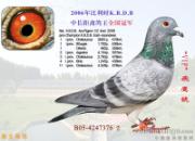 ÿ��һ�룺�г����������VIP��ӥ ��(ͼ)