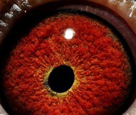 ���������ͼƬ���ͣ�