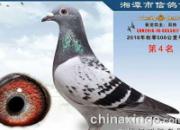 �ϸ�������ھ� ��˧��񽱸�����