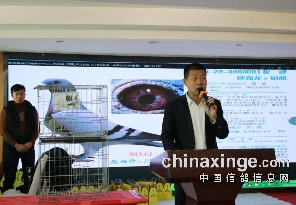 ��������������������ȫϵ�׸�������Բ�����