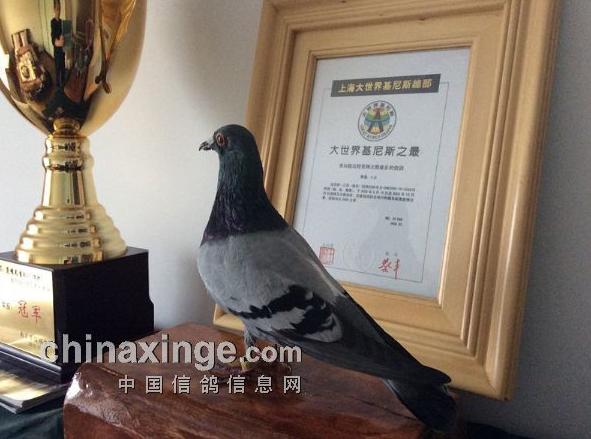 ÿһ룺ܳԶ̡318(ͼ)