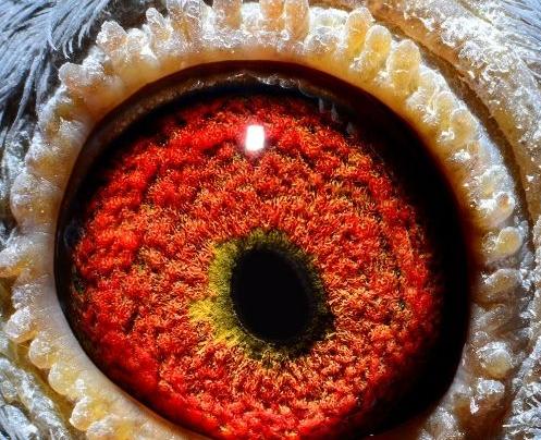 ����̽�� ��ӭ����