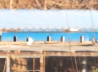 ���߰˸�Сʱ����ѹ��