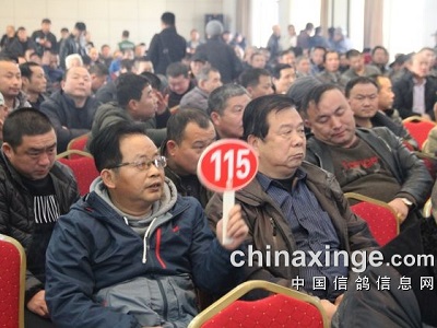 ��������2018��ǿ����������Բ����鳣�