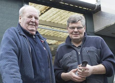 ŷ�����ҷ����ո��ӵġ�С�����