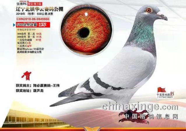 2018�ջ�����������������ָ� ��ֵ��һ��