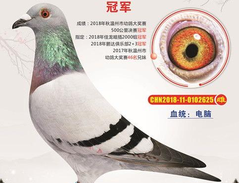 2019������ϵ����ݡ������ǡ�