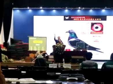 ״Ԫ�ɵ�����������˸ж�����������裬�����㵽�ϣ�