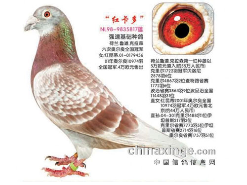 ÿһ룺ֽܿɭ֮쿨ࡱ(ͼ)